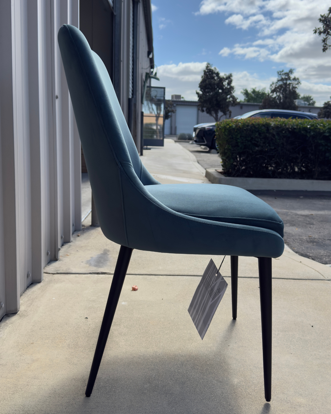 Modus Furniture Winston Dining Chair in Smoked Green & Black (SET OF 2)