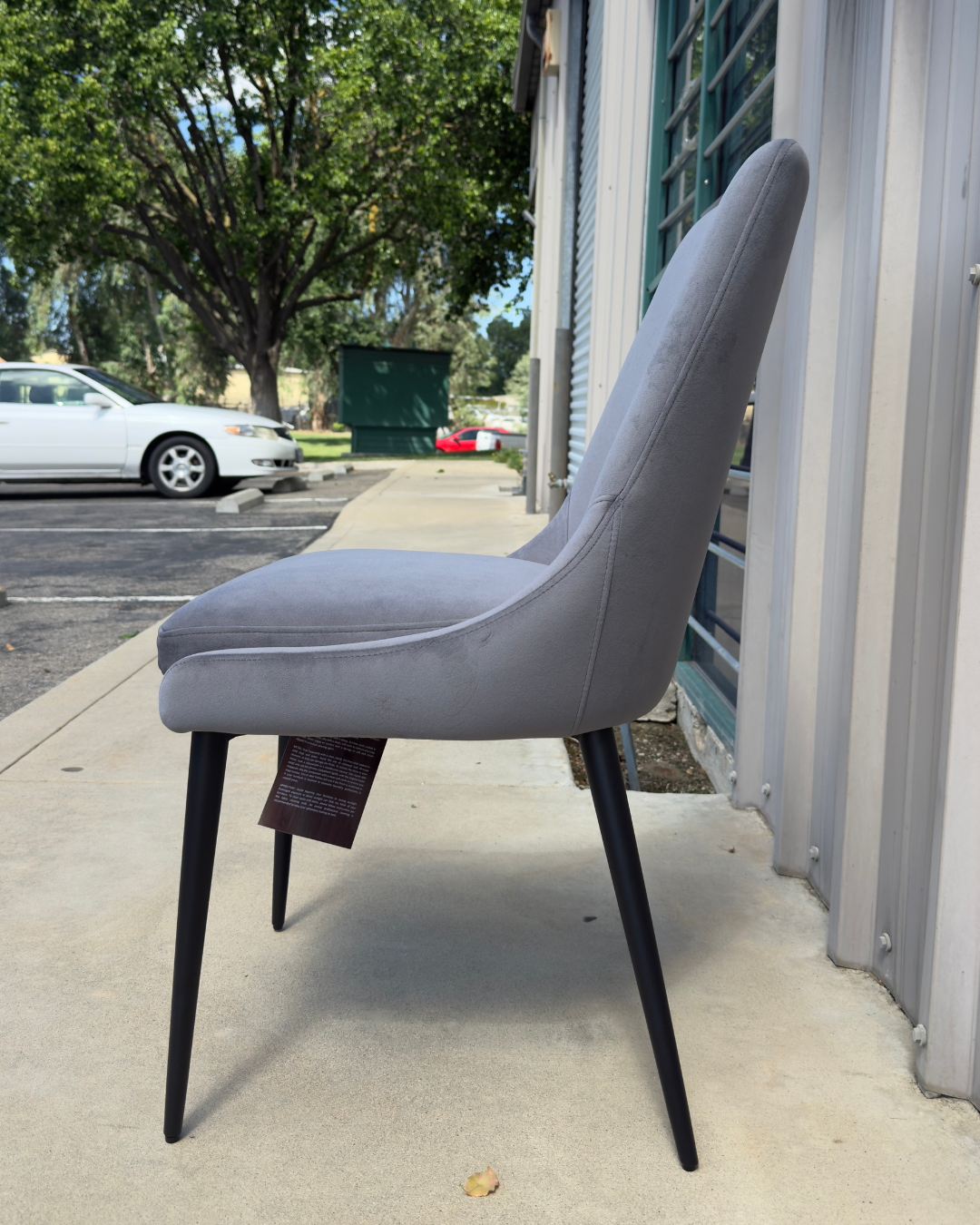 Modus Furniture Winston Dining Chair in Goose & Black (SET OF 2)