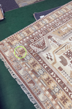 The Citizenry - Saraja Hand-Knotted Area Rug - 8x10