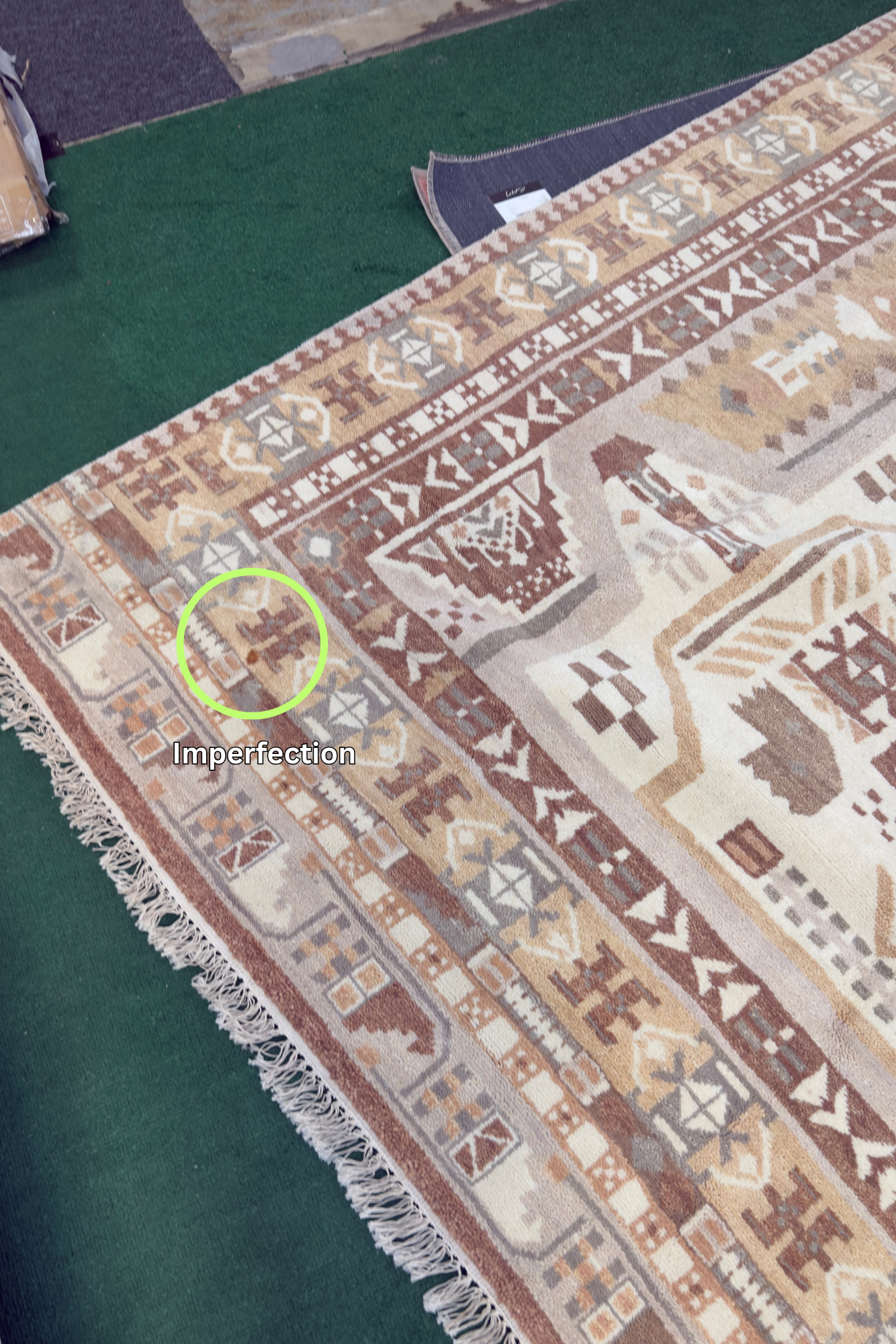 The Citizenry - Saraja Hand-Knotted Area Rug - 8x10
