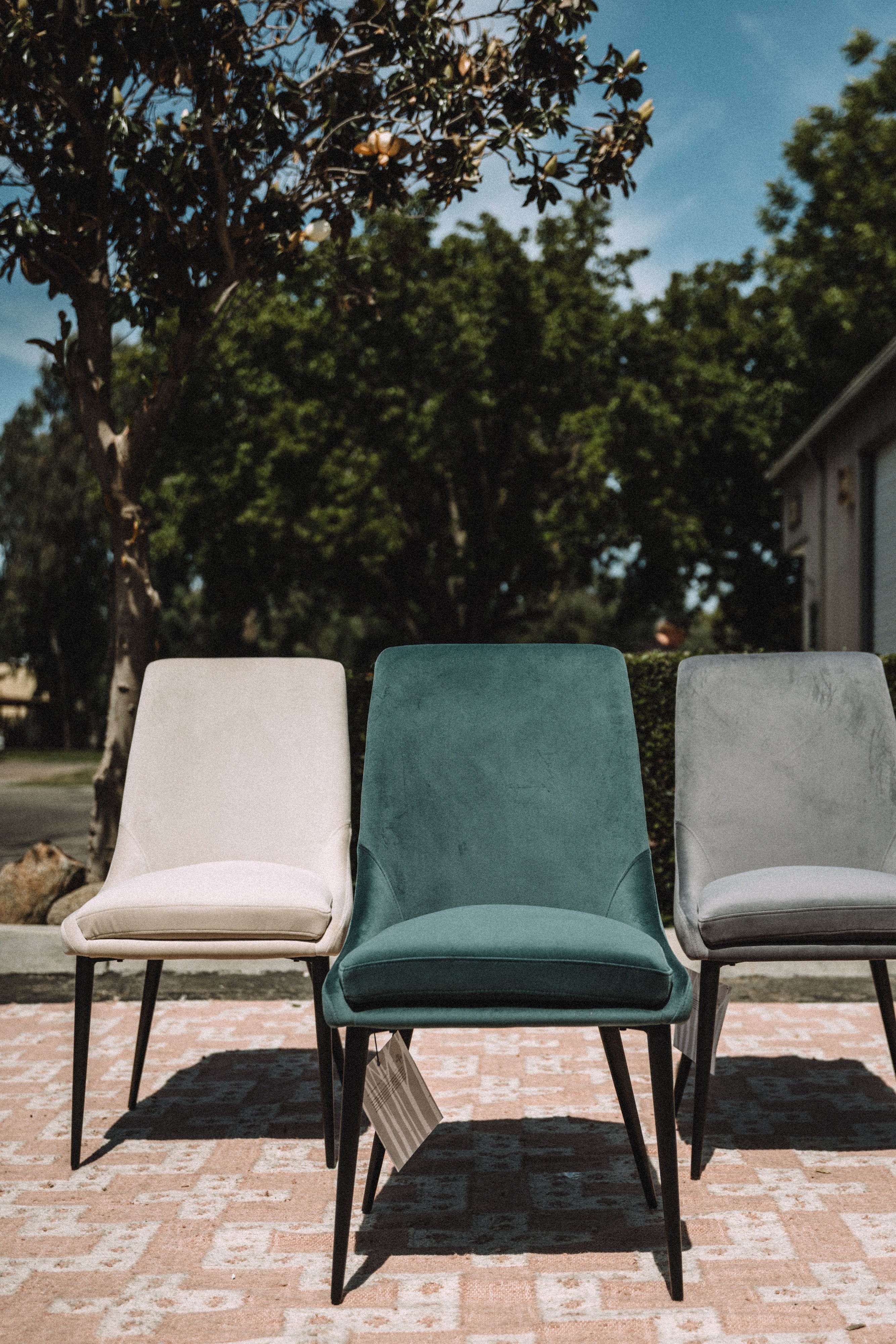 Modus Furniture Winston Dining Chair in Smoked Green & Black (SET OF 2)