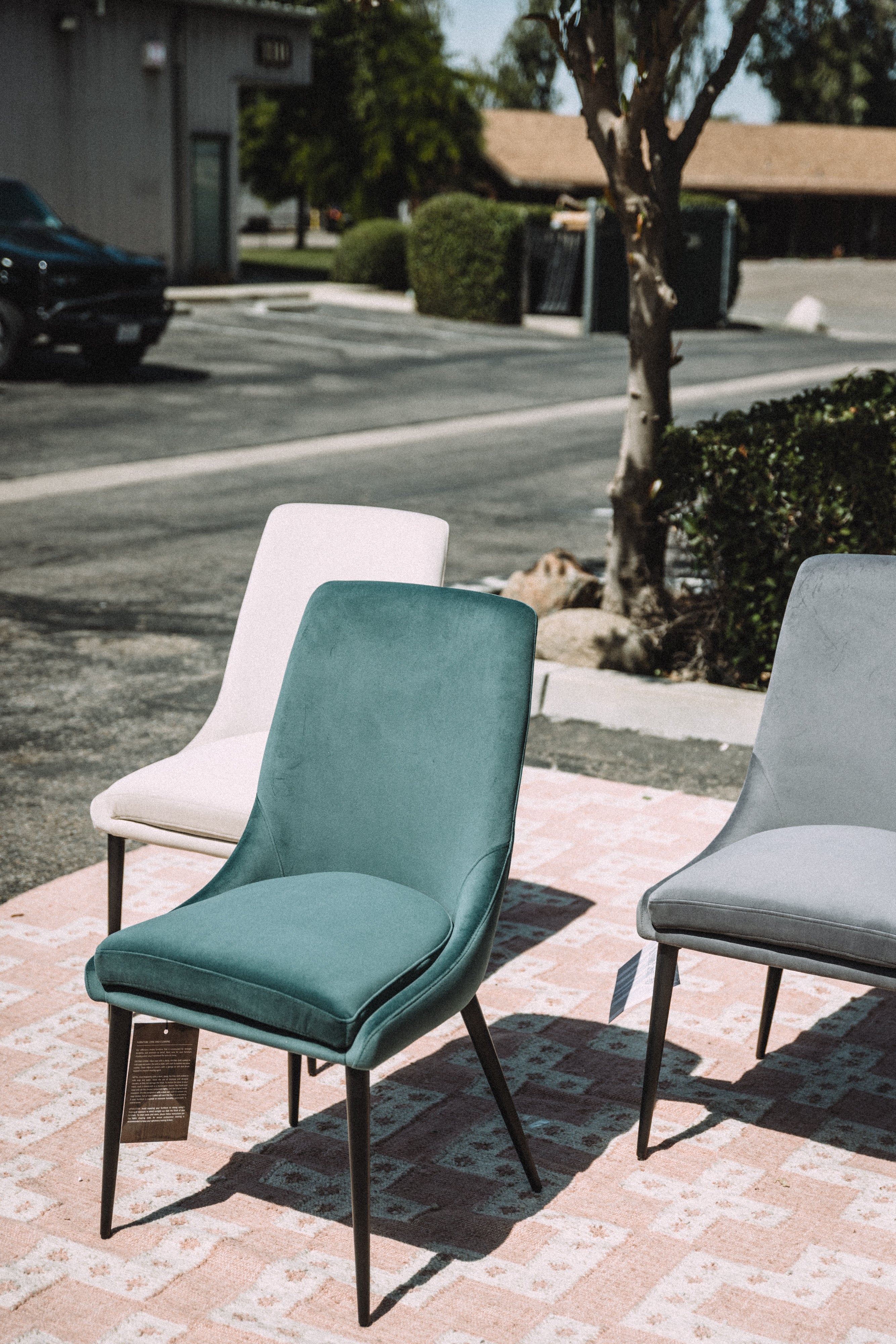 Modus Furniture Winston Dining Chair in Smoked Green & Black (SET OF 2)