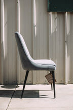 Modus Furniture Winston Dining Chair in Goose & Black (SET OF 2)