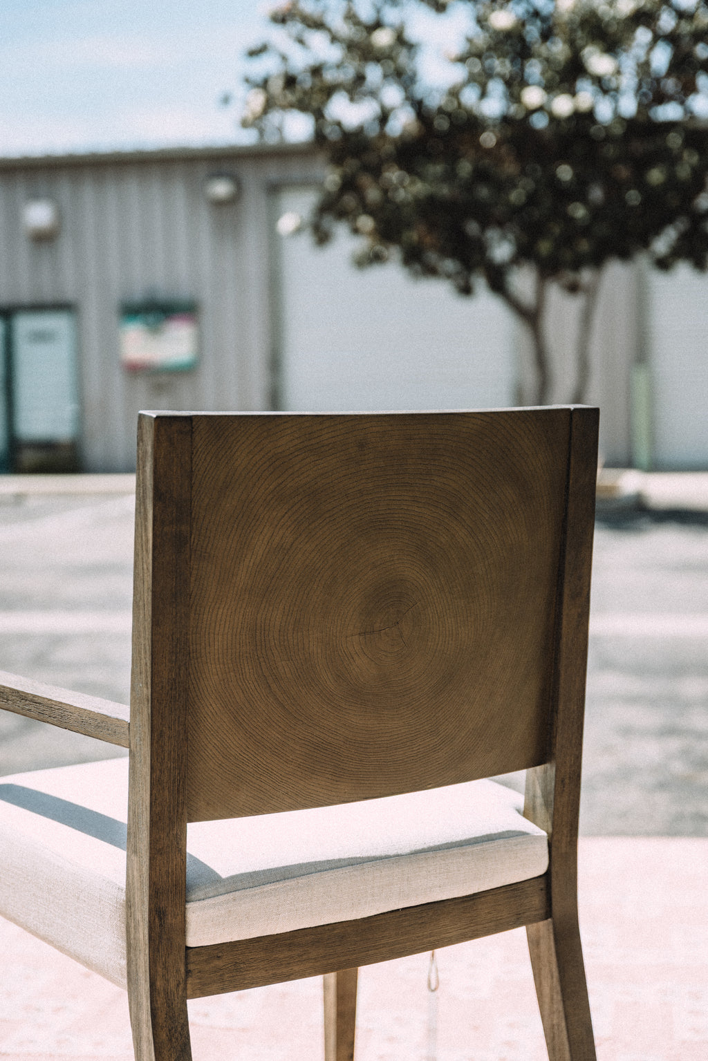 Modus Furniture Oakland Wood Arm Chair in Brunette (SET OF 4)