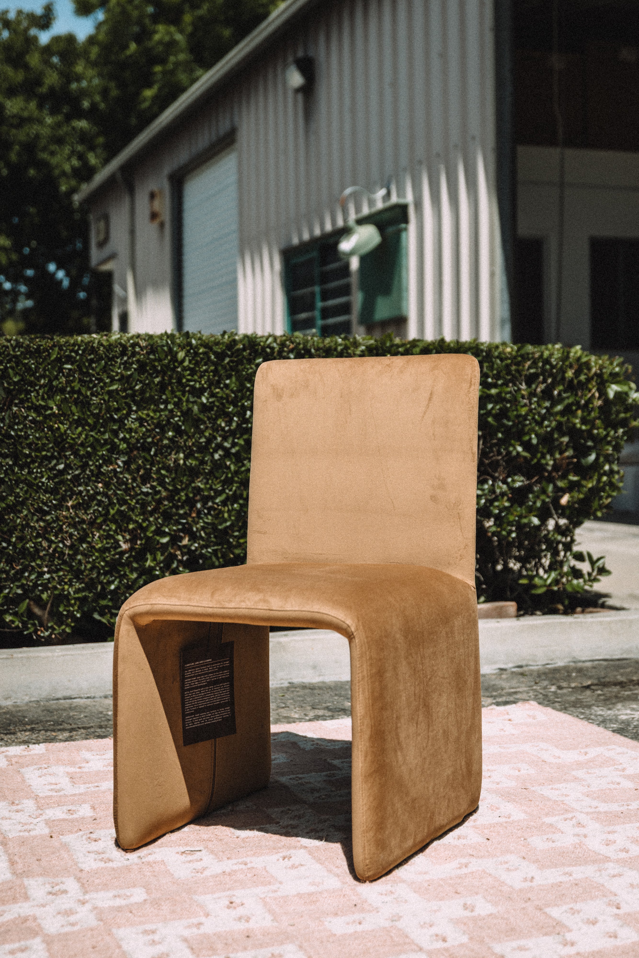 Modus Furniture Whiskey Velvet Dining Chair (SET OF 2)
