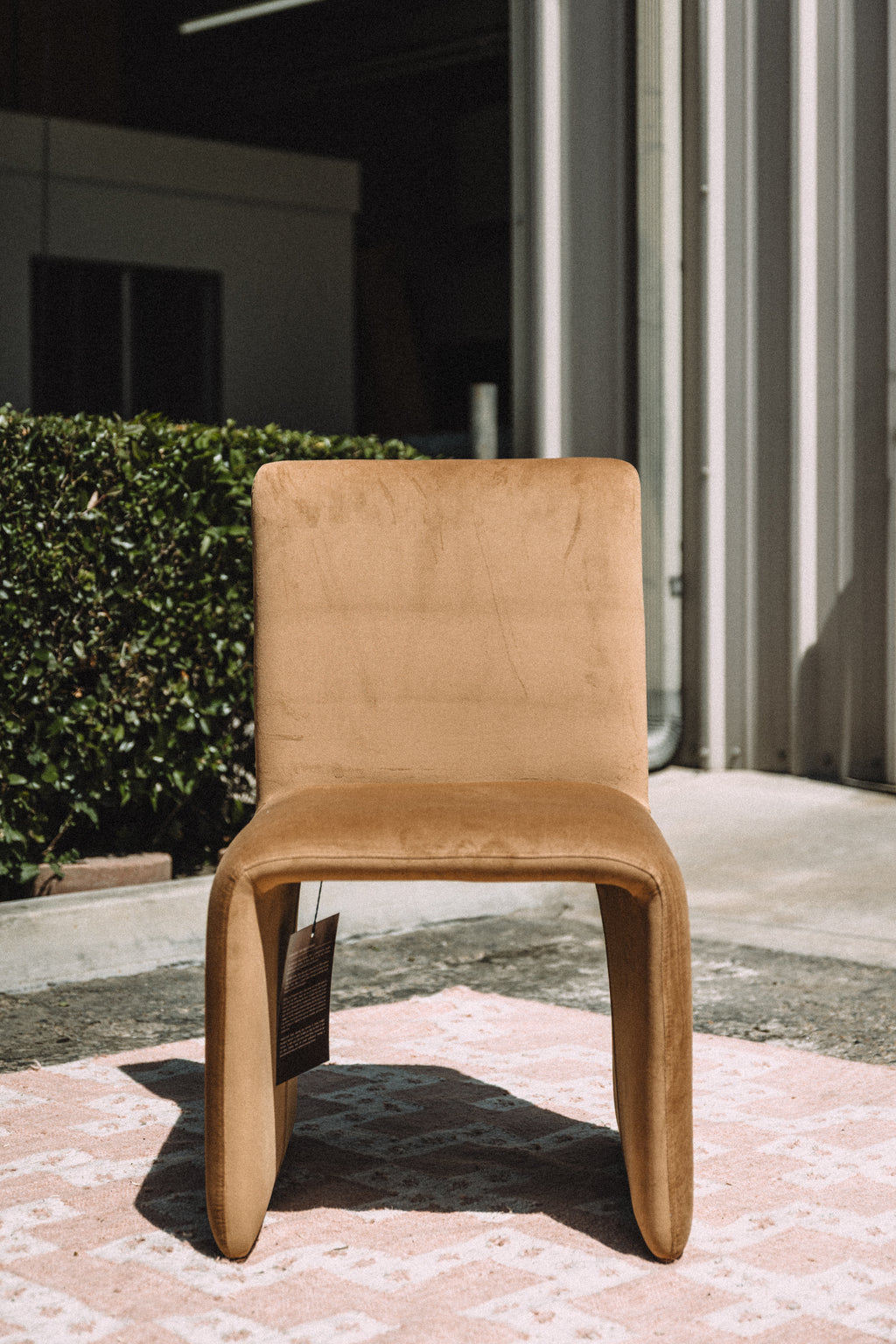 Modus Furniture Whiskey Velvet Dining Chair (SET OF 2)