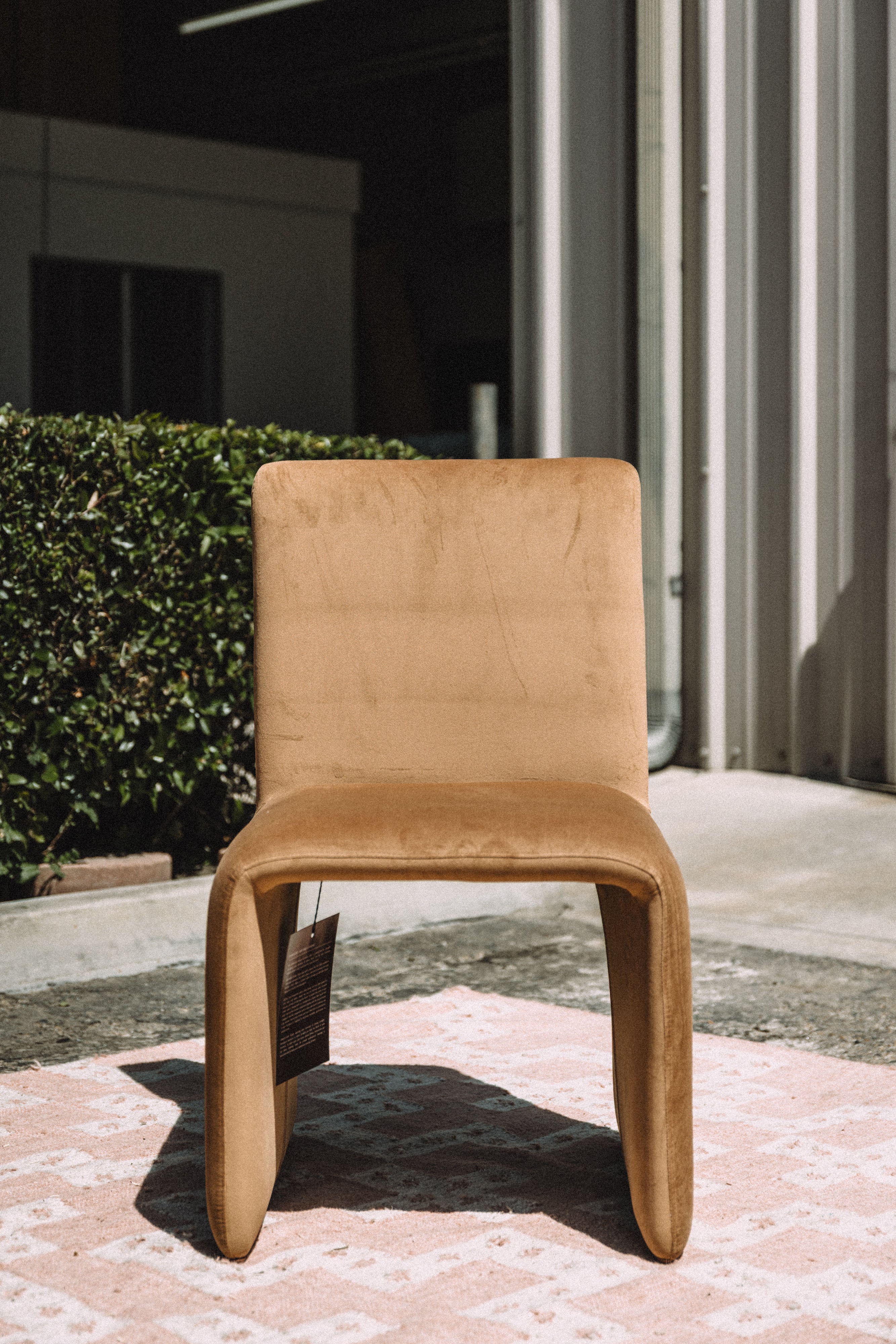 Modus Furniture Whiskey Velvet Dining Chair (SET OF 2)