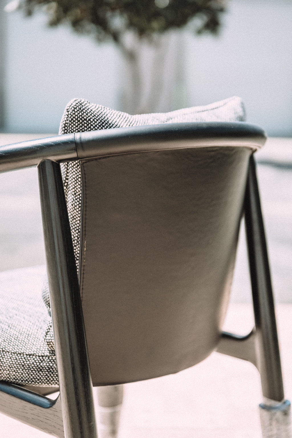 Denver Modern Dillon Dining Chairs (Set of 6)