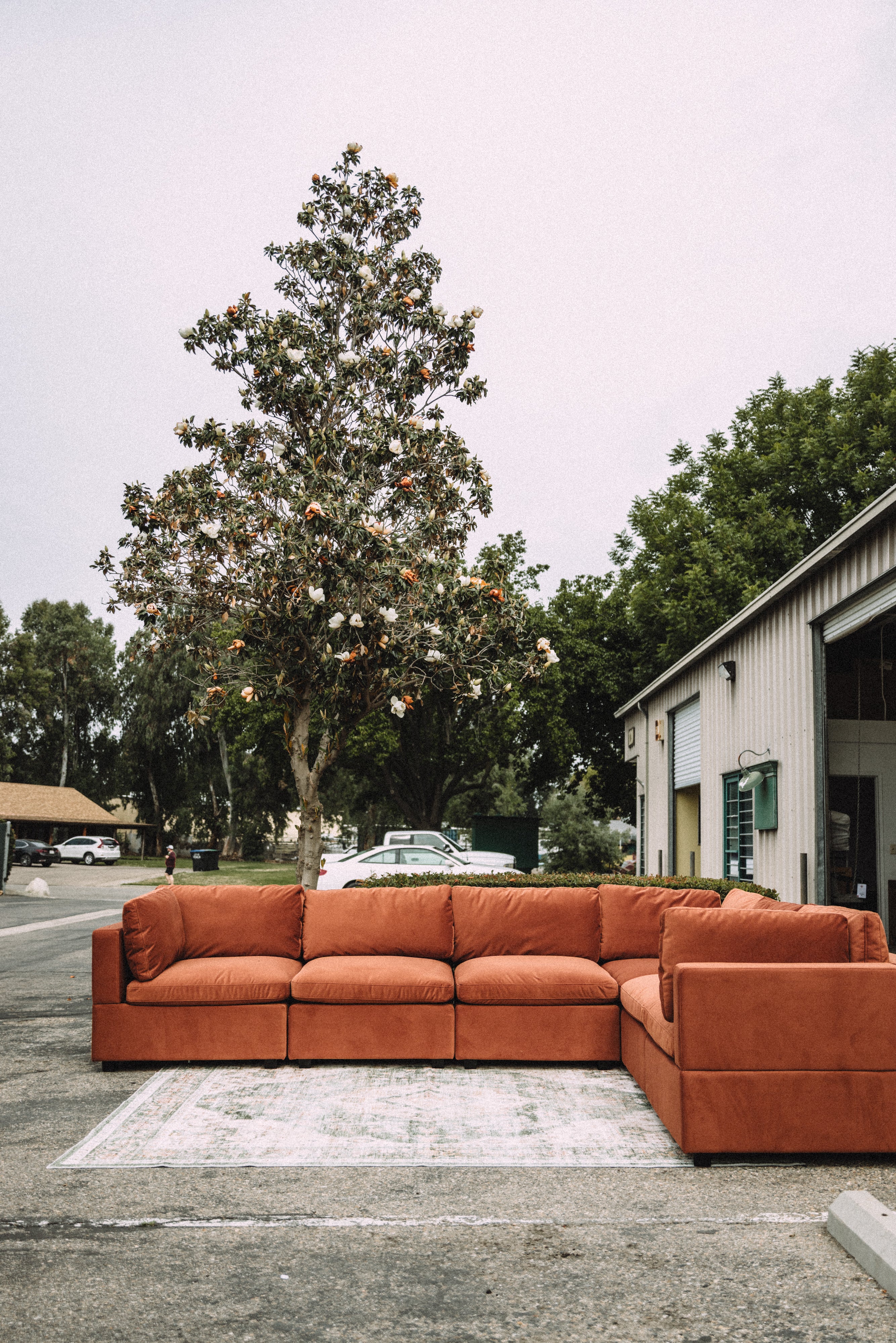 Albany Park Kova 6PC Sectional