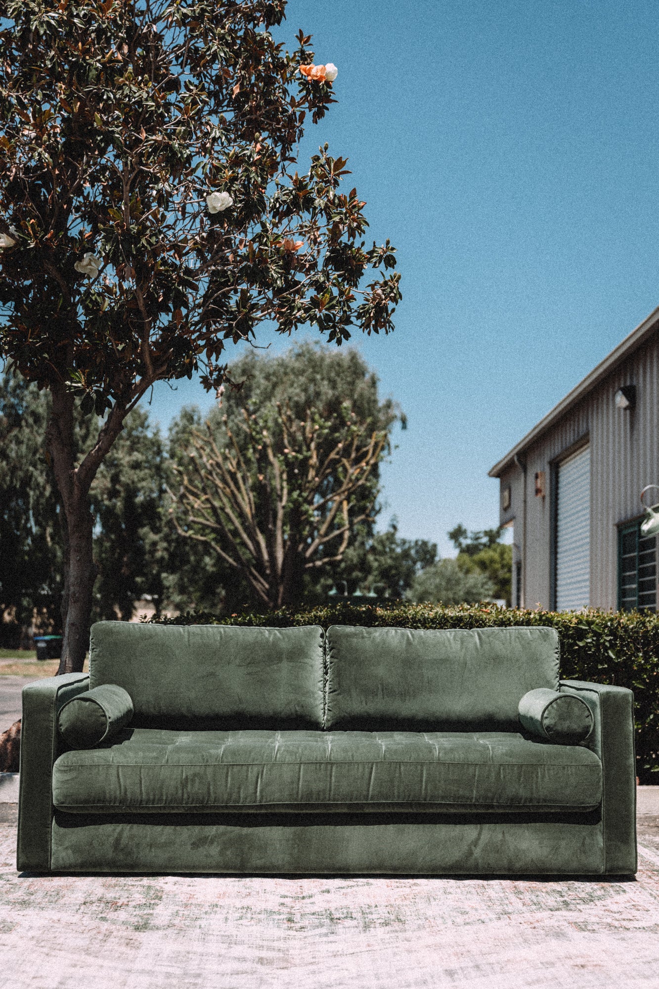 Article Sven 88" Tufted Velvet Sofa Bed Plush Pacific Green Velvet