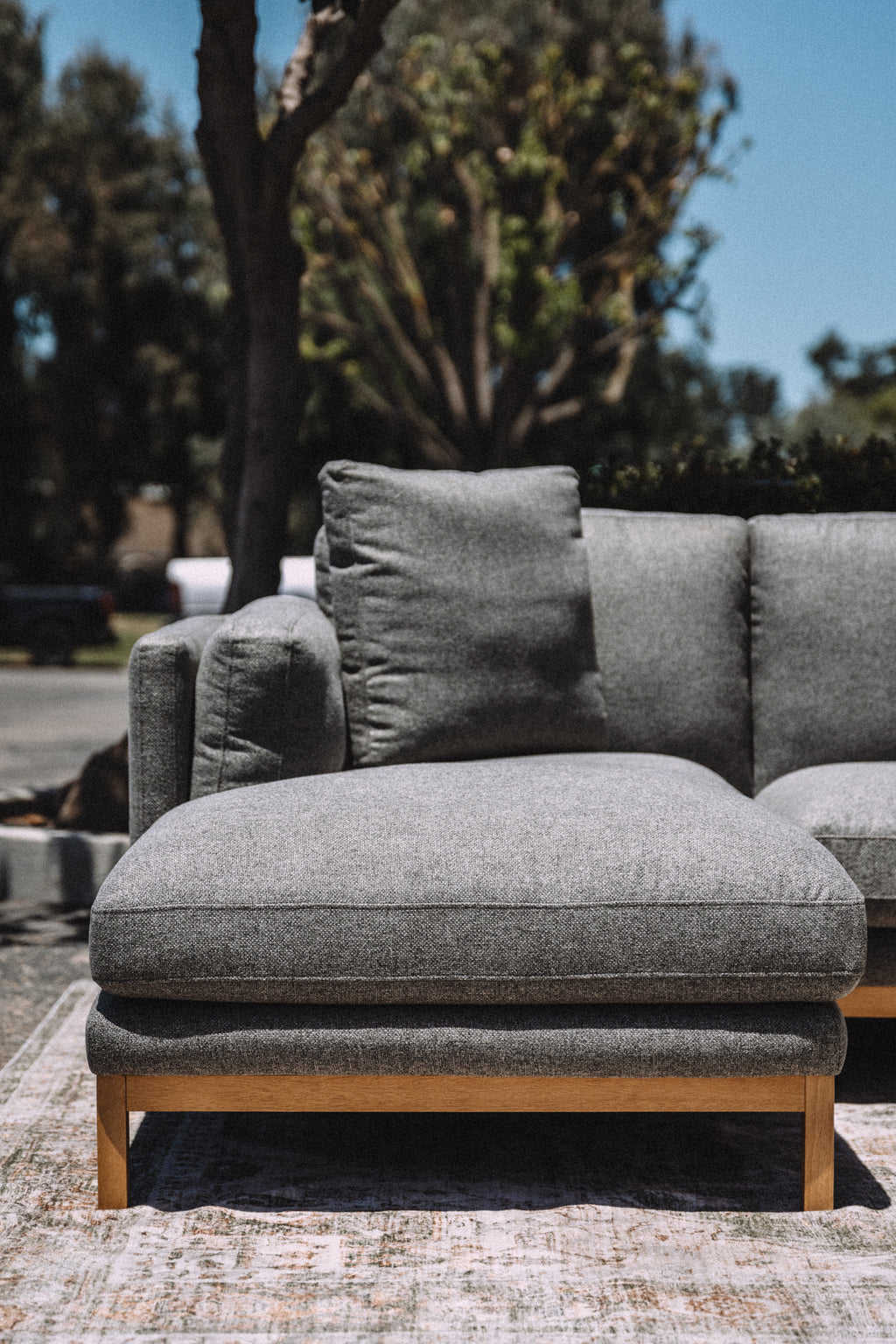 Castlery Owen Chaise Sectional Couch