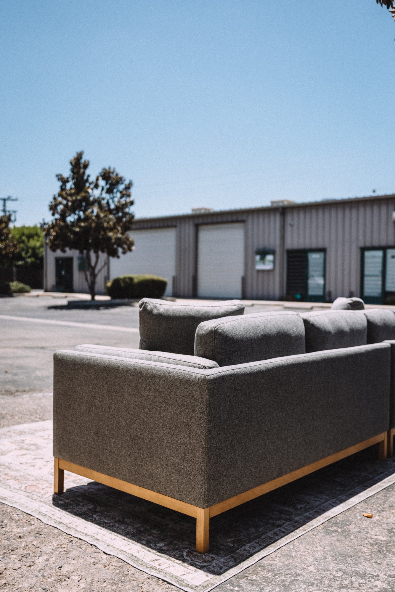 Castlery Owen Chaise Sectional Couch