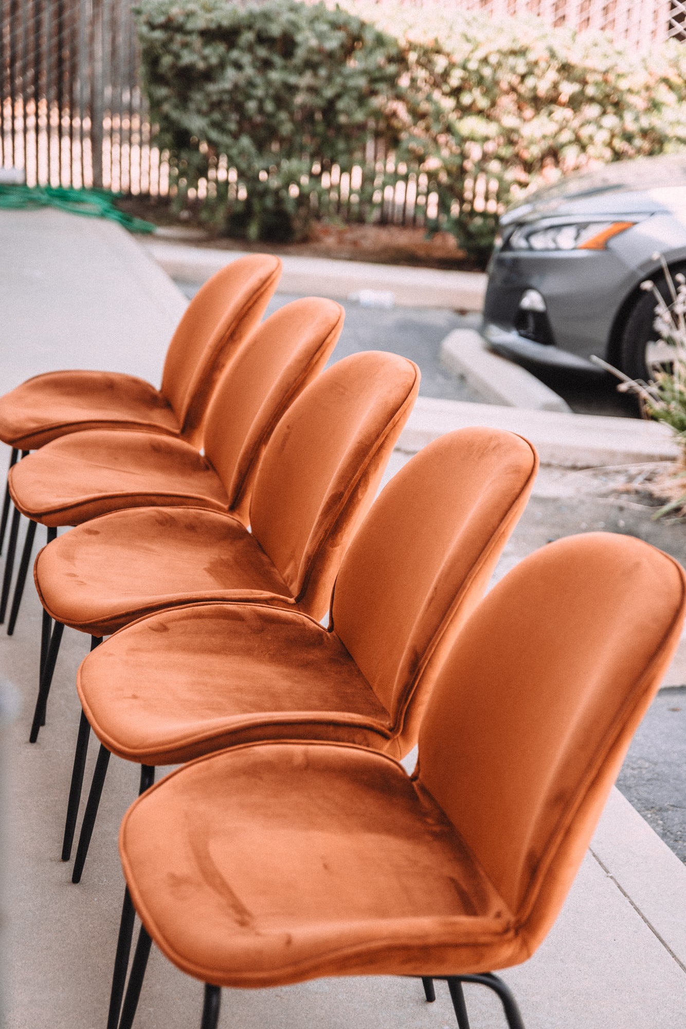 (Set of 5) Dauphine Dining Chairs - Burnt Orange