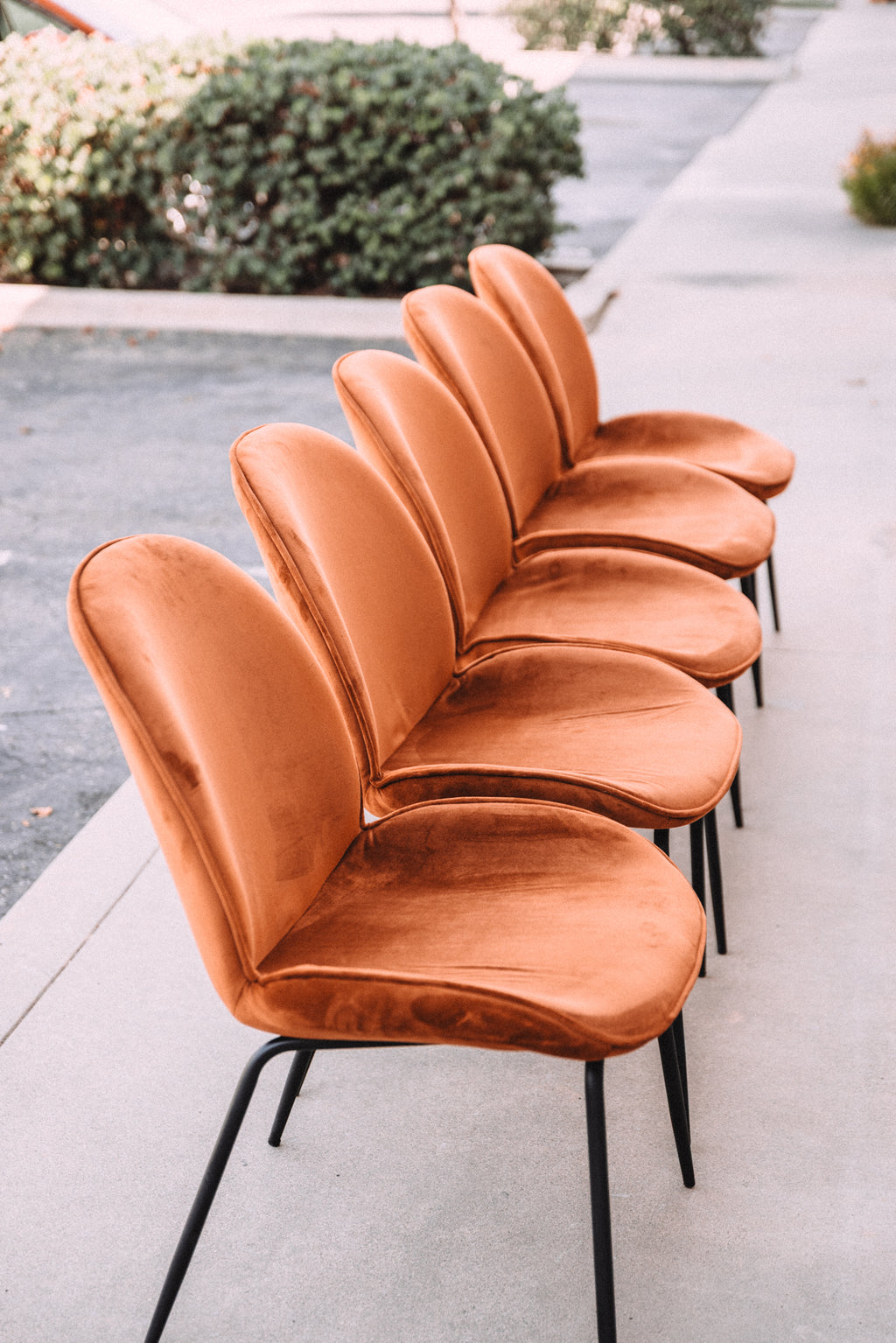 (Set of 5) Dauphine Dining Chairs - Burnt Orange