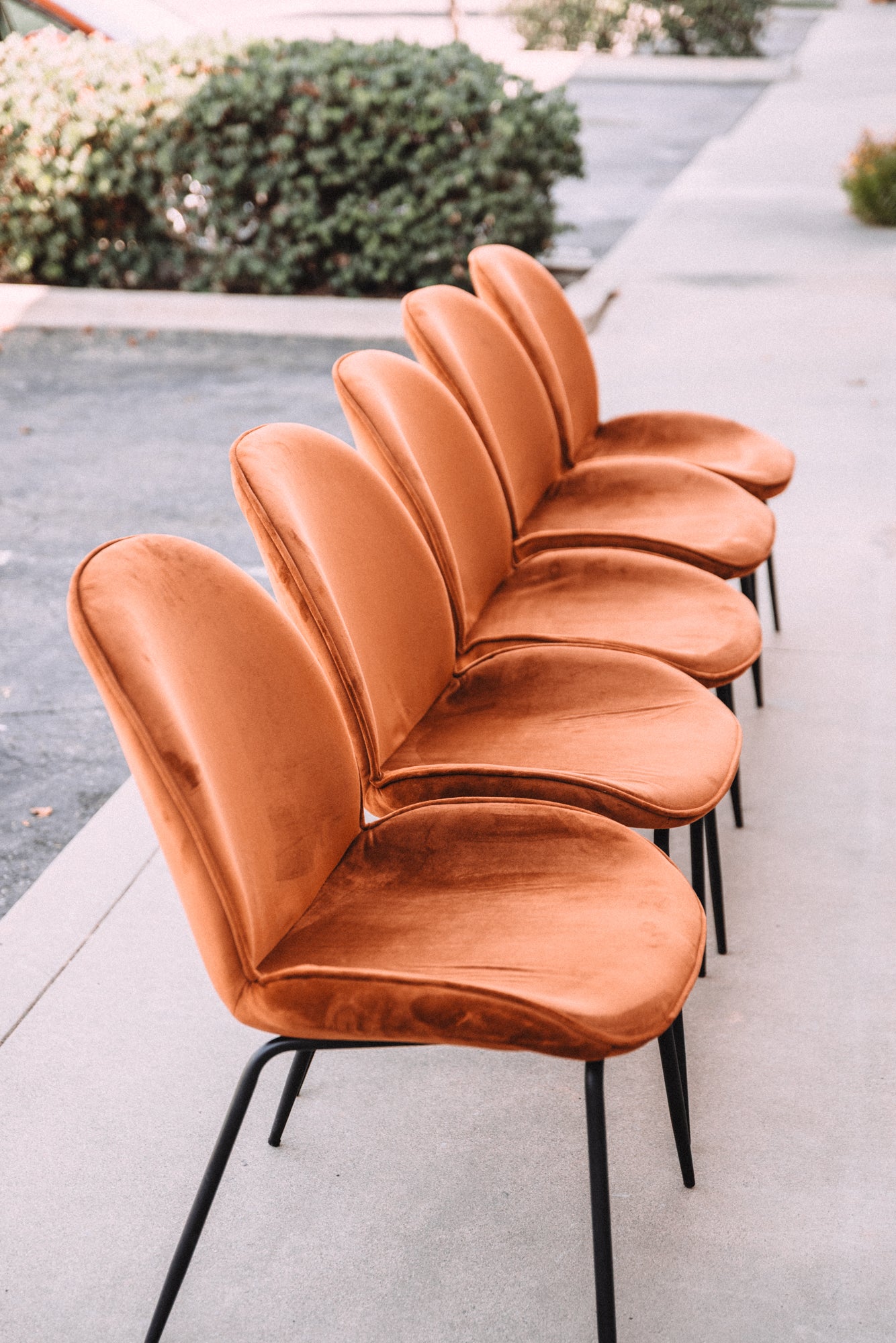 (Set of 5) Dauphine Dining Chairs - Burnt Orange