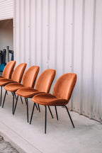 (Set of 5) Dauphine Dining Chairs - Burnt Orange