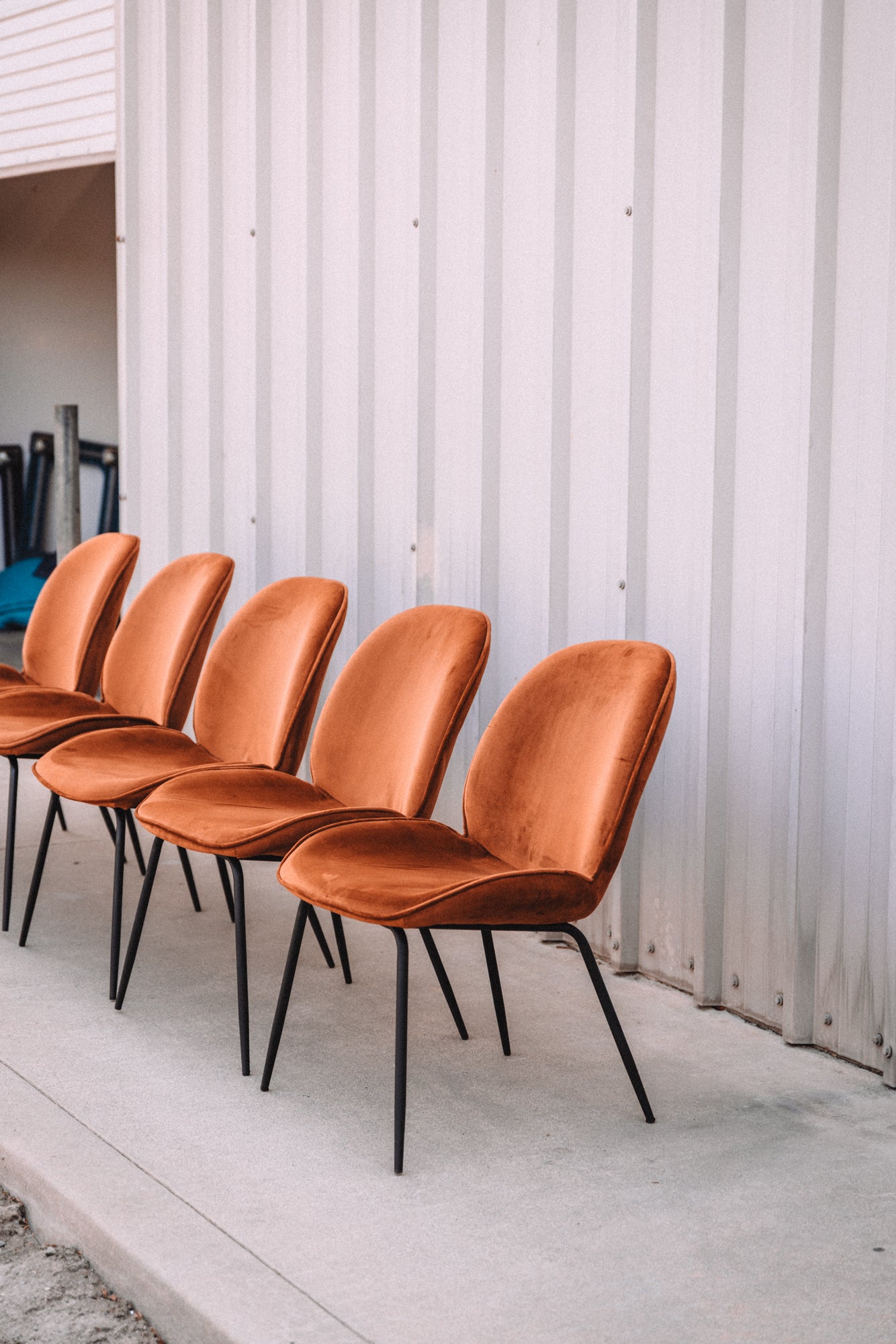 (Set of 5) Dauphine Dining Chairs - Burnt Orange
