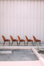 (Set of 5) Dauphine Dining Chairs - Burnt Orange