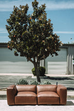 Modway Auren Vegan Leather Modular Loveseat
