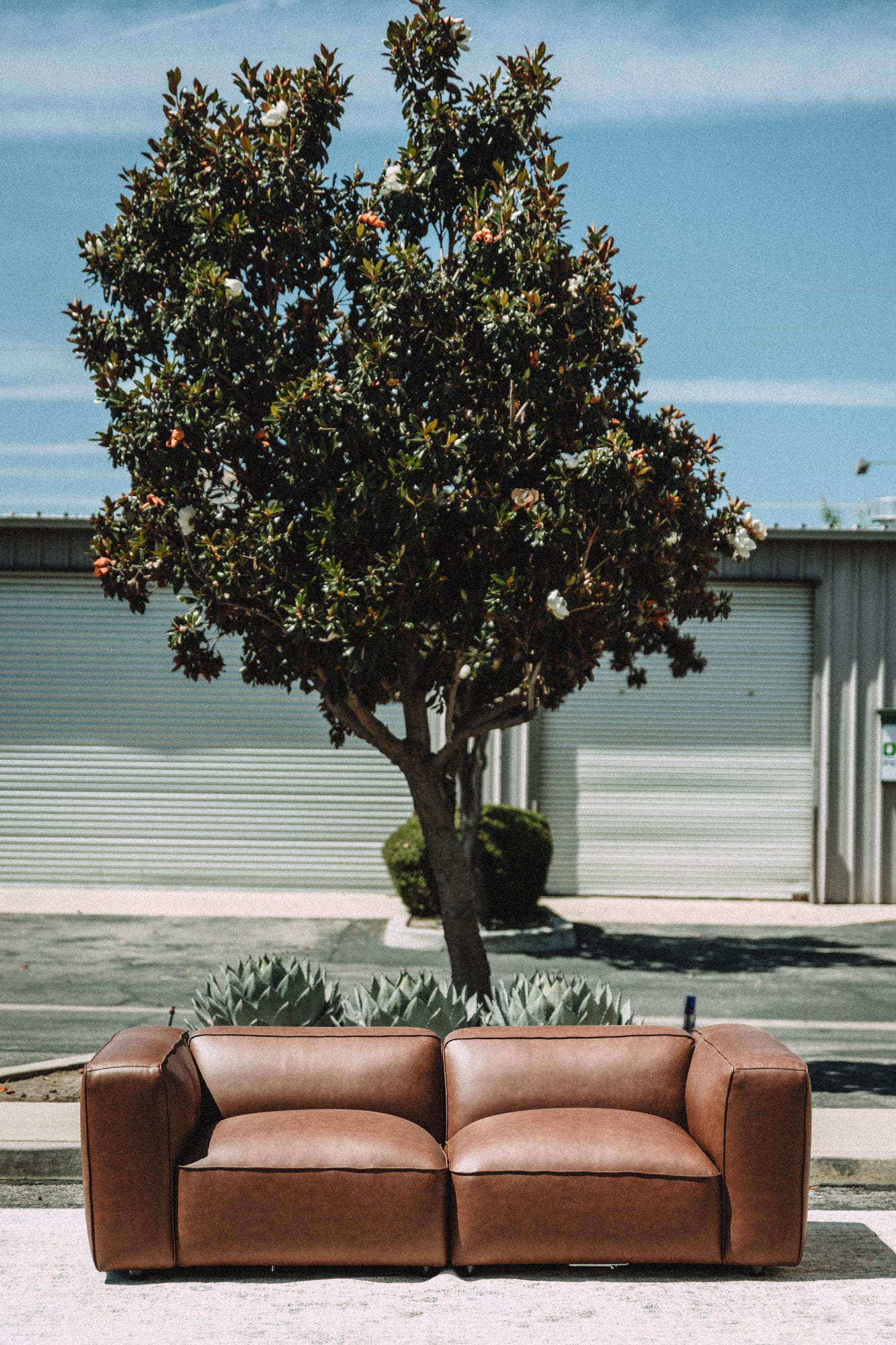 Modway Auren Vegan Leather Modular Loveseat
