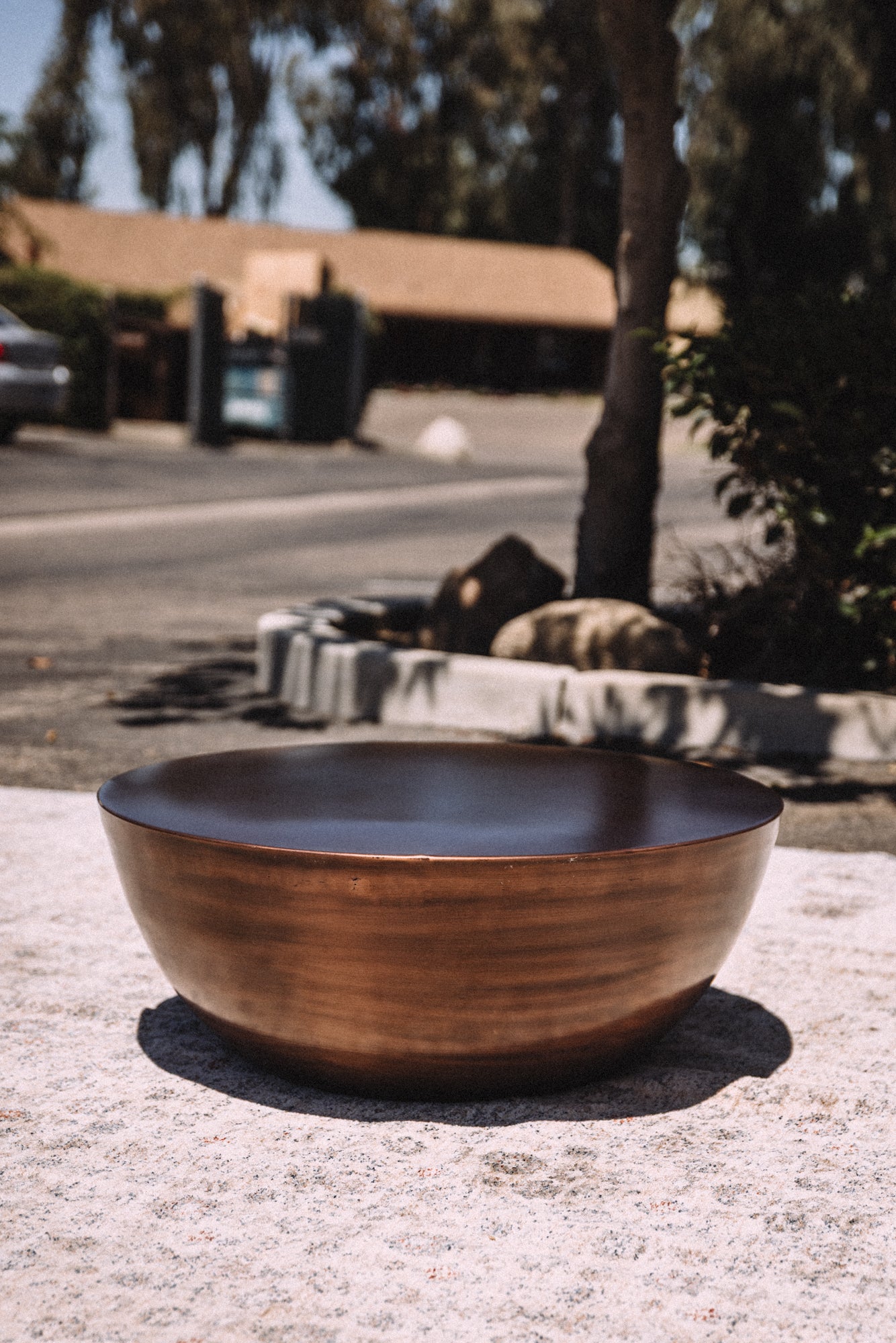 Moes Home Conga Copper Coffee Table
