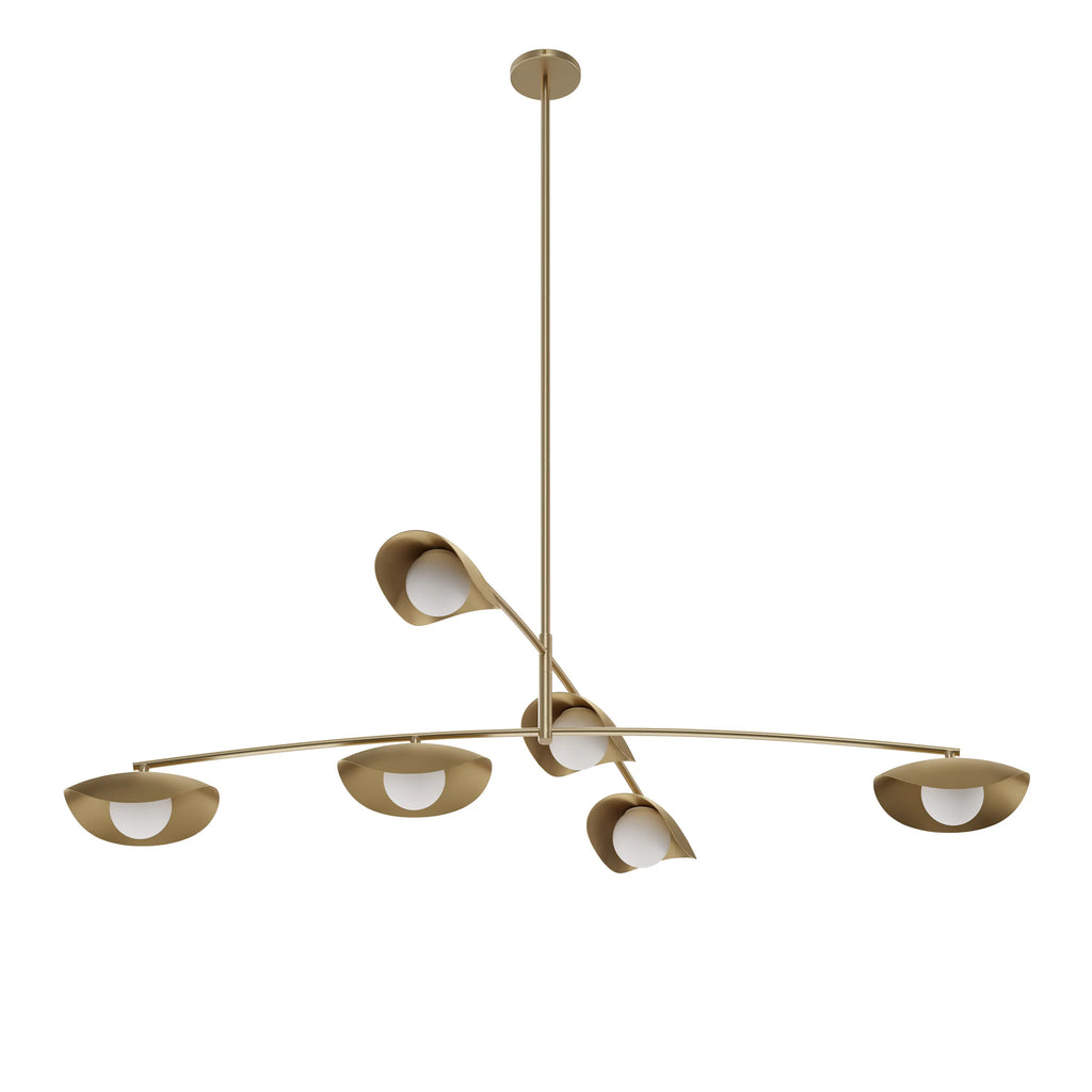 Coy Chandelier - Brass